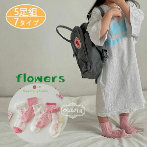 yz!X[p[SALEzC LbY V[g\bN 5g K[Y tďH  V[gi12cmE22cmjqǂ qp xr[ ǂ  킢 ۈ牀 ct w ʉʊw C 7^C