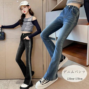 yz!X[p[SALEzq ̎q fjtApc ubN u[ LbY fjpc  fjtApc Opc ʊw WjA K[Y {gX fjt