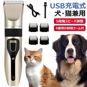 yRXpōI5{ϕI11/17܂ŁzyUSB[dzybgpoJ ELp VF[o[ 5iKXs[h荂\ ᑛEÉ݌v R[hX SҌ 4ނ̐R