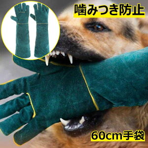 yRXpōzybgO[u ݂ h~ Lv 5{w tbN Ɨp 60cm ݂h~ L ybg   K[fjO v  O[u Ck O ی঒