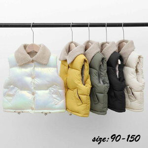 yRXpōI5{ϕI11/17܂Łzq [gR[g `bL xXg _E N H~ j̎q ̎q R[g AE^[ jZbNX ʊw  h  qǂ x