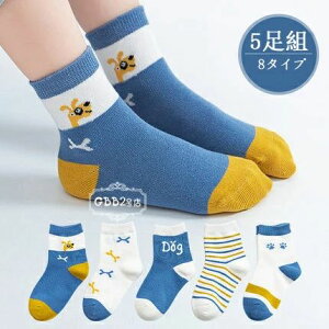 yz!X[p[SALEzC LbY V[g\bN 5g K[Y tďH  V[gi12cmE22cmjqǂ qp xr[ ǂ  킢 ۈ牀 ct w ʉʊw \bN