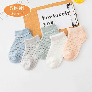 yz!X[p[SALEzC LbY V[g\bN 5g K[Y t V[gi9cmE20cmjqǂ qp xr[ ǂ  킢 ۈ牀 ct w ʉʊw \bNX C 8