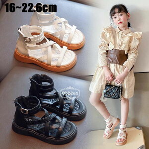 yz!X[p[SALEzT_ LbY ̎q C r[`T_ WjA ɂ qC v[ C Pn  C  킢 ł v[g /w ItzCg u