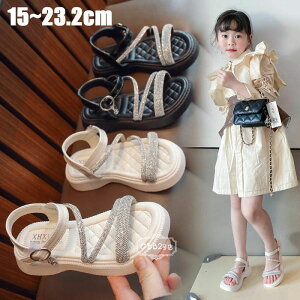 yz!X[p[SALEzT_ LbY ̎q C r[`T_ WjA \tg̒ ɂ qC v[ C Pn  C  킢 ł v[g /w Itz