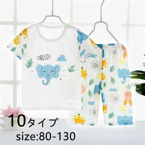 yRXpōI5{ϕI11/17܂ŁzLbY pW} qpW} ̎q j̎q gbvX+Y{  vg [EFA  jp ZbgAbv 킢   