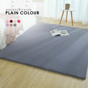 yz!X[p[SALEz200*80cm 􂦂 _炩ĂׂׂĂ J[ybgrO n O~ kV[gt[X イ 킢VM[O 3 cm 􂦂J[yb