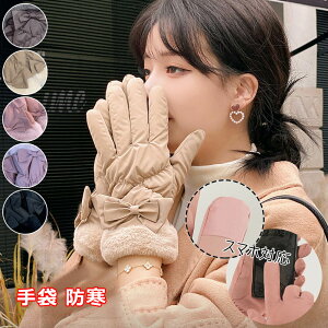 yz!X[p[SALEz h fB[X H~  킢 g h {AN ₦΍  ܖ{w 傤ѕt ӂӂ ~ ʋ ʊw s ] oCN i