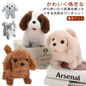 y1726~1691~ P2p! 11/27 01:59zCȎe gCv[h  ׂ ybg KU    a  q ̎q j̎q NX}X CȎe v[