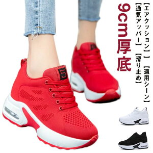 y3263~3198~ P2p! 11/27 01:59zXj[J[ fB[X Cq[ V[NbgV[Y r r [XAbv 9cm q[Abv Cq[ Xj[J[ ʋC y 