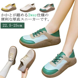 y2562~2511~ P2p! 11/27 01:59zXj[J[ fB[X O Xb|  H Ƃ߂ y ʋC RtH[gV[Y Xj[J[ ɂȂ Xj[J[ fB