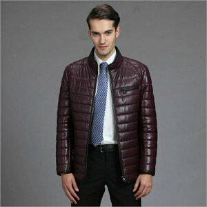 yRXpōI5{ϕI11/17܂Łz WPbg Y ~ U[WPbg {v R[g V[g 傫TCY t@bV h h ۉ ʋ AE^[  40 50 ~ H _E