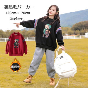 yz!X[p[SALEzq ̎q p[J[ qǂ LbYp[J[  gbvX 킢 h w@ w  ʊw ʉ  ؍q tH H H H  Vv