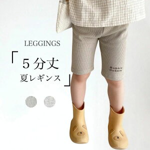 yz!X[p[SALEz5 MX ̎q n[tMX  LbY Xpc q bOEFA 5䃌MX XLj[pc Lk  RbgMX 5pc Xpbc W