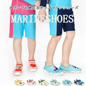 yX߁z}V[Y LbY q p C r[`V[Y ̎q j̎q  AEghA v[  l W[  PKh~  킢  ی y 