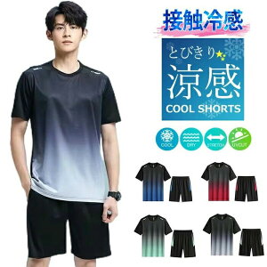 yVLOiIzX|[cEFA Y ㉺Zbg  ڐG⊴ V[gpc jOEFA g[jOEFA JWA    M L XL 2XL 3XL 4XL 5XL z 