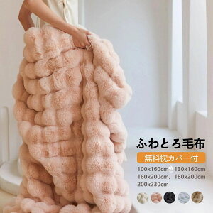【P5倍!3680→実質3496円 10/27まで】【無料枕カバー付き】毛布 高品質 ふわとろ毛布 ふわふわ ブランケット ミニ ハーフシングルセミダブル ダブルクイーンふわもこ ひざ掛けおしゃれ 暖かい