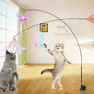 yz!X[p[SALEzL炵 zՎ ނ v~AtFU[ H_t L ̂D݂炵AL̂ቮLp qLvC`FCXGNTTCY ˂ Lpߋ A