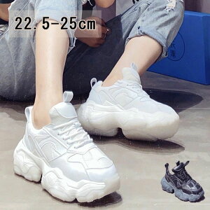 yVLOiIzXj[J[fB[XV[Y_bhXj[J[؍EH[LOV[YCq[ꂩ킢CXj[J[ubNzCgrgAb