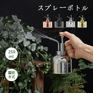 傤 W[  Xv[{g 250ml XeX ϗtA     O CeAyz K[fjO | |  A 