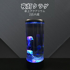 yP2{I44004312~ 11/11܂Łz ANAE LED 铔NQ C~l[V NQ2C VR ANAE   Cv ii X^h^CṽRpNg