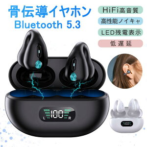 `Cz CXCz Ў/ Bluetooth 5.3 u[gD[XCz }CN yA drcʕ\ ̓ uԐڑ Hi-Fi ʘb\