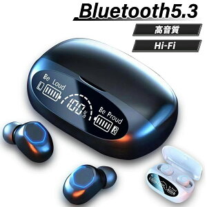 u[gD[XCz5.3 Cz bluetooth 5.3 CX iphone }CN AhCh android ACz ɂȂ Ci[ X|[c X|[cp Abv