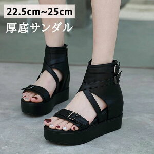 yz!X[p[SALEzT}[u[c@ u[cT_ fB[X V[gu[c  tbgV[Y q[ u[cT_ ₷ V[Y y^R q[8cm@EGbW\[