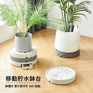 yRXpōI5{ϕI11/17܂ŁzAؔ tړԑ  u v^[pM g[ v[g 360°]LX^[t  |bN ړ֗ ϗtA 