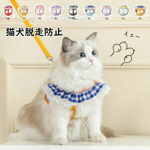 y1680~1646~ P2p! 11/27 01:59zLp n[lX [hZbg ^ ȒPE TCY߉\ Ȃ \tg  y ʋCbVU o Iׂ9F yb