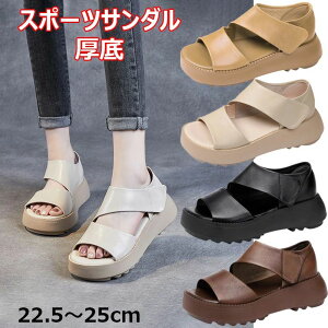 y2529~2276~ P10p! 11/19 23:59zX|[cT_  fB[X T_ y ʋC r JWAT_ ₷ RtH[gT_ 傫TCY r EH[