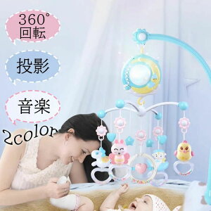 IS[ xr[ Ԃ 1 q V  mߋ oYj a v[g Mtg j̎q ̎q 蕨 360°] y e Rt 0