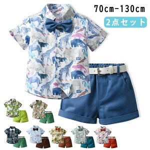 y2980~2920~ P2p! 11/27 01:59zj̎q X[c JWA  ZbgAbv V[gpc |Pbgt  nC q Ђ xr[X[c LbY r[`EFA c