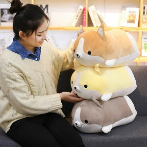 yRXpōz60cm R[L  Ck ʂ G܂܂ v[g    _炩 q ޏ 킢   YQ  j 3F ӂӂ 