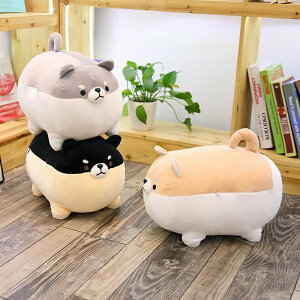 yRXpōz50cm  Ck ʂ G܂܂ ӂӂ    _炩 q ޏ 킢   YQ  j 3F  dog lC Mtg v