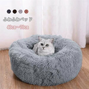 yRXpōI5{ϕI11/17܂Łzybgxbh L  􂦂 NbV ybgnEX LbgnEX pxbh ybgpQ ybgpi ۉh  g  