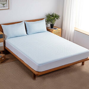【P5倍!3380→実質3211円 10/27まで】マットレスプロテクター 防水 クイーンサイズ 通気性 洗濯機で洗える 冷感 ベッドカバー 防ダニ 帝人中綿 冷感 接触冷感 冷却シルク ノイズなし