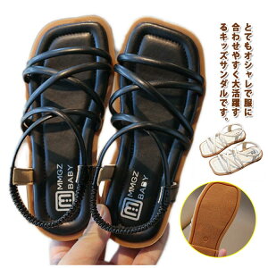 yX߁zT_ ̎q j̎q LbYT_ qT_ X|[cT_ WjA y ɂ ₷ ʊw ʉ 傫TCY r[`T_  ₷ 