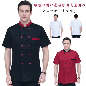 y1580~1548~ P2!zRbNR[g HX Y fB[X   㒅 ƒ Ɩp H jtH[ Xg ~[  i ǂ O [ Hi jp 