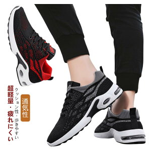 yP2{I25502499~ 11/11܂Łz Y y X|[cXj[J[ Xj[J[ V[Y StV[Y jO EH[LOV[Y ^C  ~ ̓ v[g t 傫