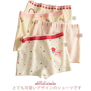 yP2{I17801744~ 11/11܂Łz4Zbg ۈ牀 LbYV[c RbgV[c  ct ̎q R ʋC z 4Zbg  q q q  pc w