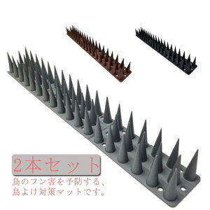 yRXpōI5{ϕI11/17܂Łz2{Zbg 悯V[g 悯ObY Ƃ}bg x_  ؉ | ƒ؉ K[fjO  ng L悯 Q΍ Nh~ \h 