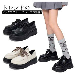 y2790~2511~ P10p! 11/19 23:59z [t@[ IbNXtH[hV[Y  RC  R V[Y ɂ r n 傫TCY ₷ fB[X [XAbv E