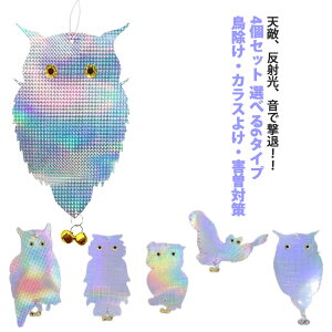 y2440~2391~ P2p! 11/27 01:59z΍   ̃t΍ tNE O JX ŉ镗 悯 Q΍ x_ | c   Ԓd K[f LL JX΍ 