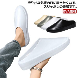 yRXpōI5{ϕI11/17܂ŁzXbp T_ Y T{T_ ƂȂ r[`T_ n Vv ~ ₷ ₷  AEghA EVAf fbL