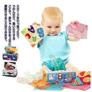 y2350~2303~ P2!zxr[ eBbVP[X Ԃ zG{ eBbV{bNX 10/20XJ[tt ʂ ߋ c wP oB FFm  V m