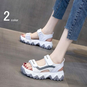 y2630~2577~ P2p! 11/27 01:59zT_ [q[ [fBX C  V[Y r[` C  o RtH[g 5cmq[ W[ ̎q JWA r p[eB[