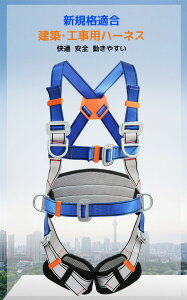 y12800~12544~ P2p! 11/27 01:59ztn[lX Zbg S ė~p SƗp gp\ 100kg a@ Ō  ^b`obN VKiK [h Sg