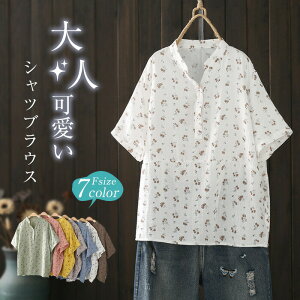 y2880~2822~ P2p! 11/27 01:59zVc uEX  fB[X ԕ VcuEX  Rbg ȃVc gbvX _uK[[ Vc 2dK[[ K[[Vc tH[} l