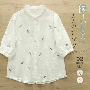 y2680~2626~ P2p! 11/27 01:59zK[[ Vc   fB[X ԕ  fB[XVc gbvX ܕ Vc   ̌^Jo[ K[[uEX JWA i